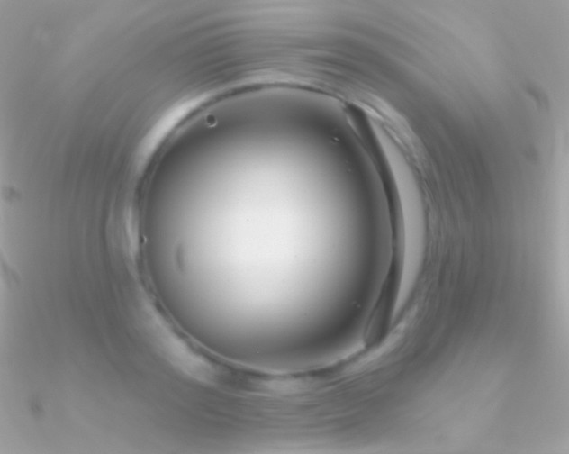 X0000090950796200708021335