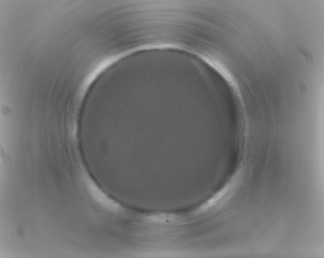 X0000090950797200708021335