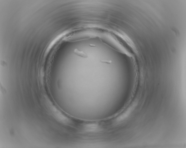 X0000090950798200708021335