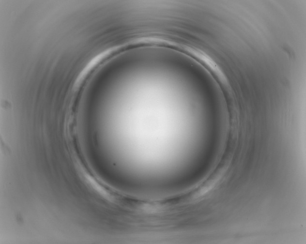 X0000090950799200708021335