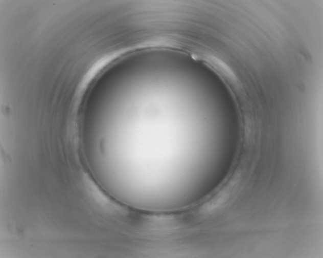 X0000090950800200708021335