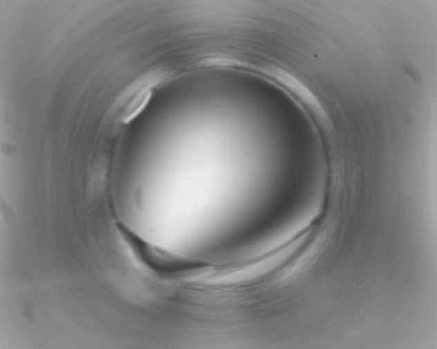 X0000090950801200708021335