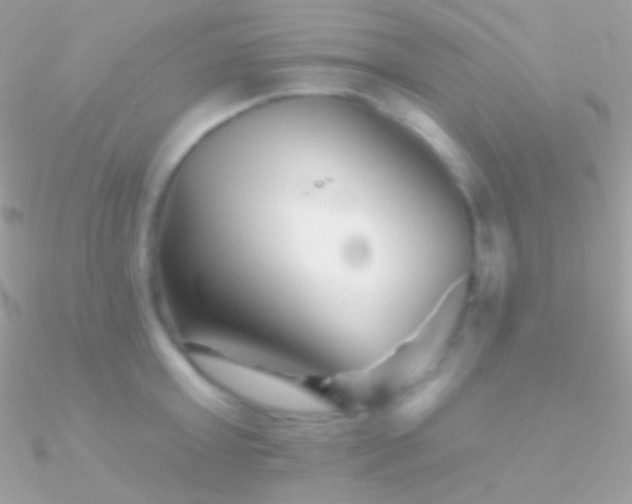 X0000090950803200708021335