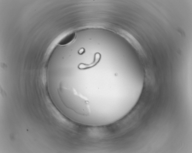 X0000090950804200708021335