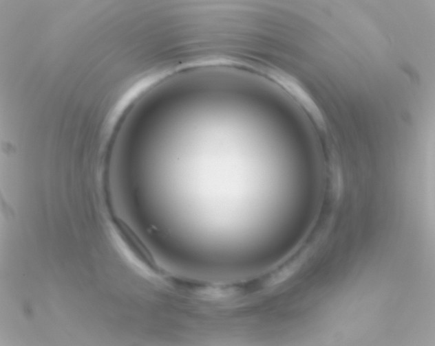X0000090950805200708021335