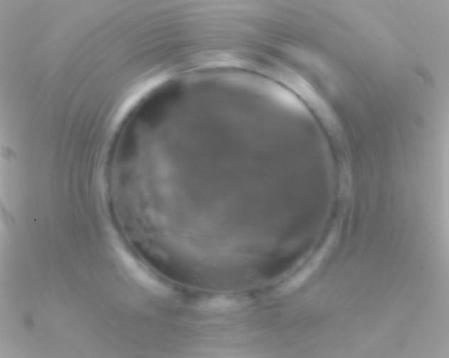X0000090950806200708021335
