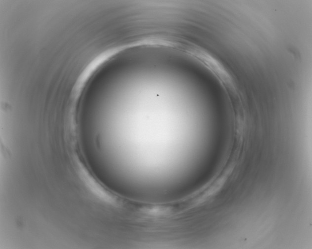 X0000090950808200708021335