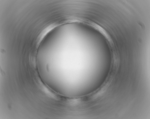 X0000090950810200708021335