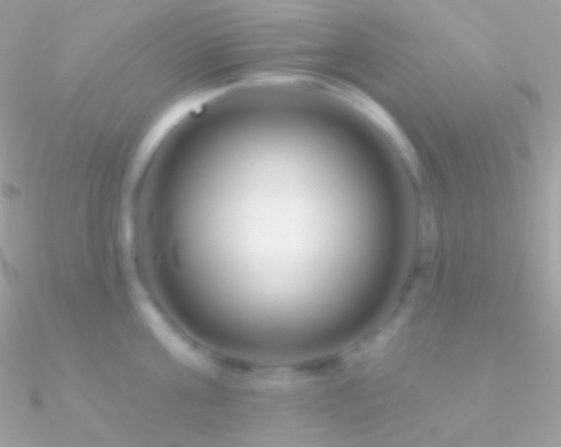 X0000090950811200708021335