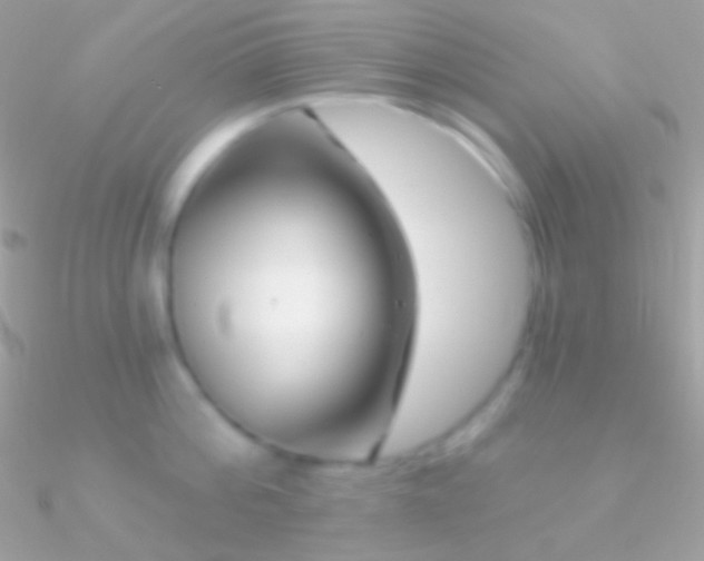 X0000090950812200708021335
