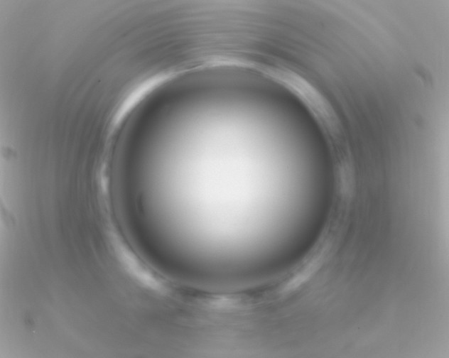 X0000090950814200708021335
