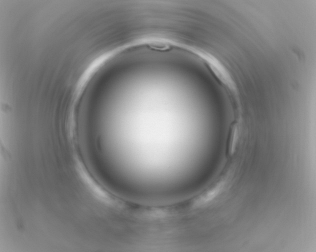 X0000090950815200708021335