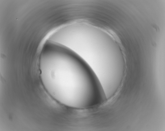 X0000090950816200708021335