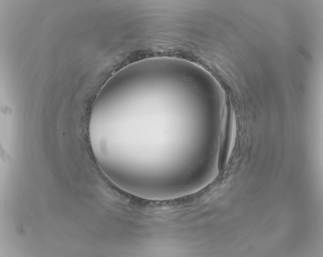 X0000090950817200708021334