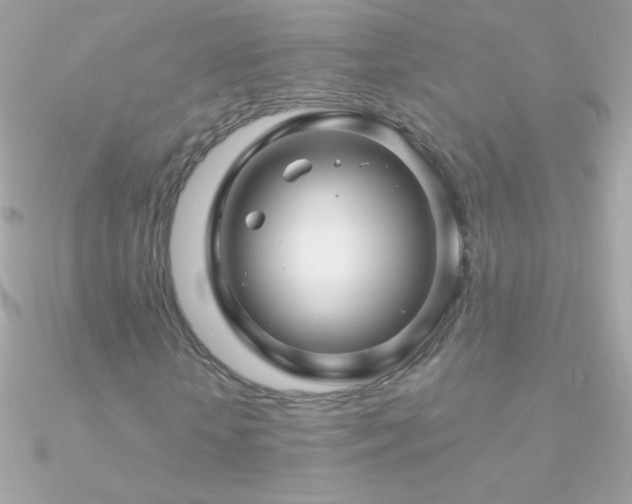X0000090950818200708021334