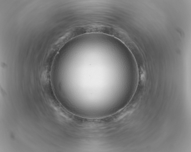 X0000090950819200708021334