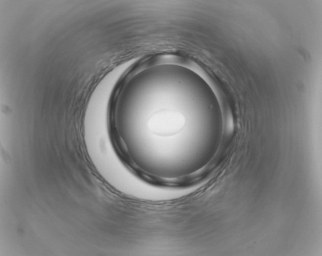 X0000090950820200708021335