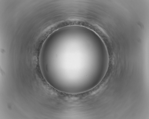 X0000090950821200708021335
