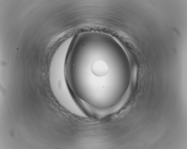 X0000090950822200708021335