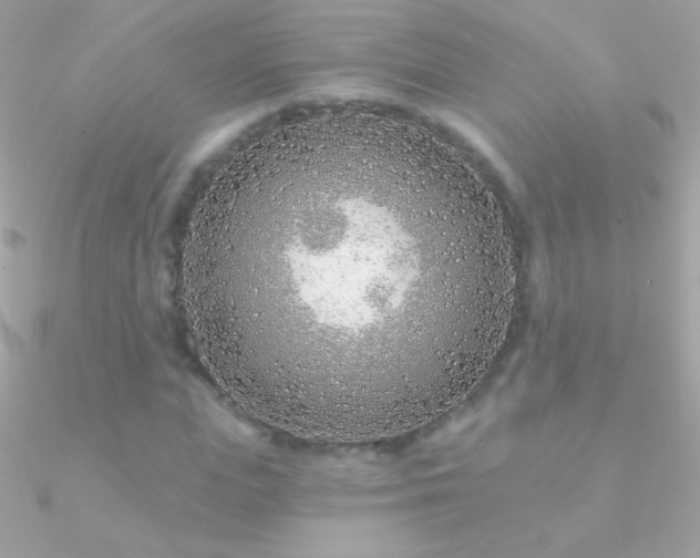 X0000090950823200708021335