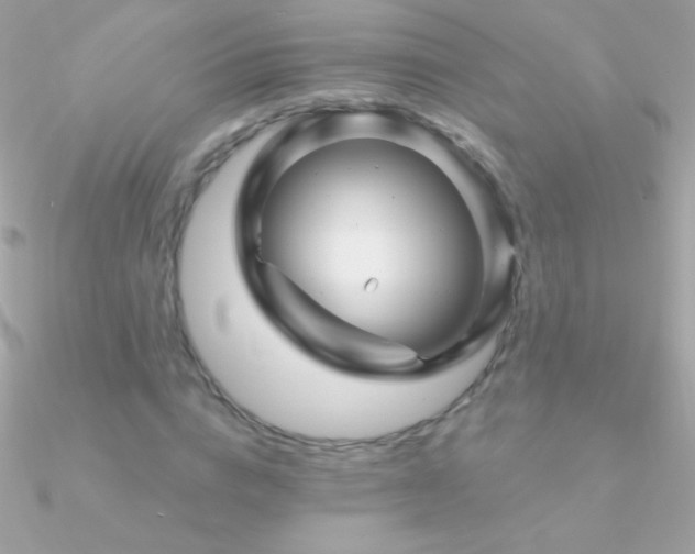 X0000090950824200708021335