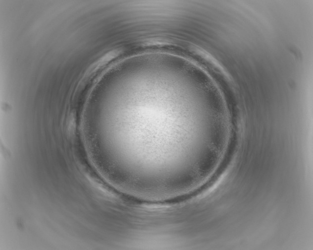 X0000090950825200708021335