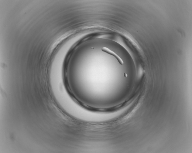 X0000090950826200708021335