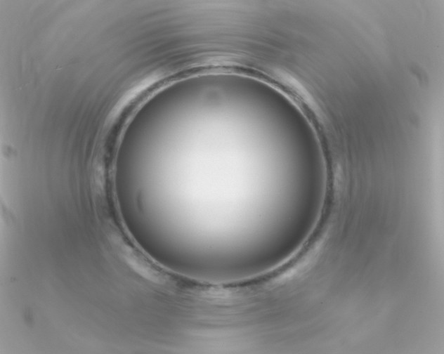 X0000090950827200708021335