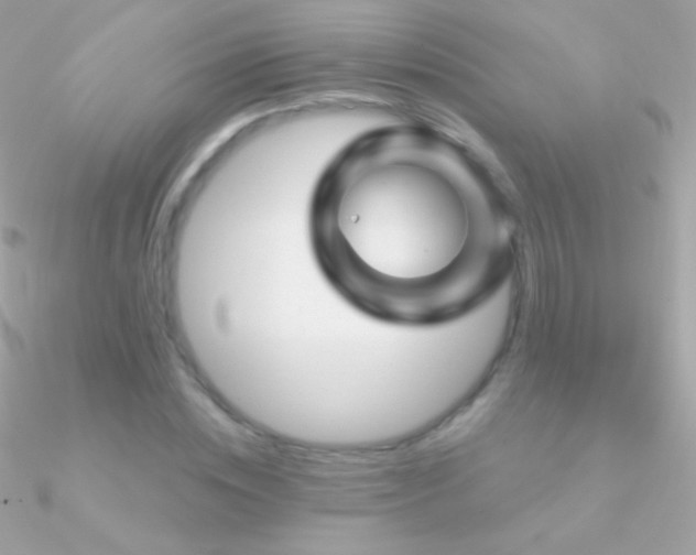 X0000090950828200708021335