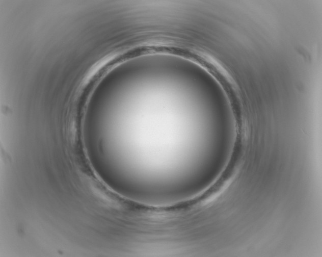 X0000090950829200708021335