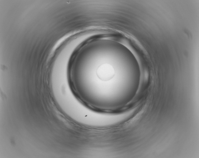 X0000090950830200708021335