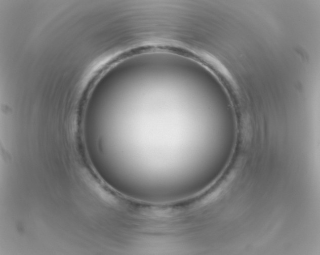 X0000090950831200708021335