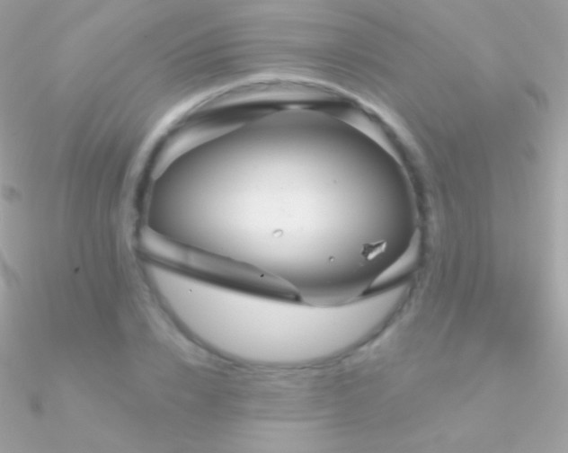 X0000090950832200708021335
