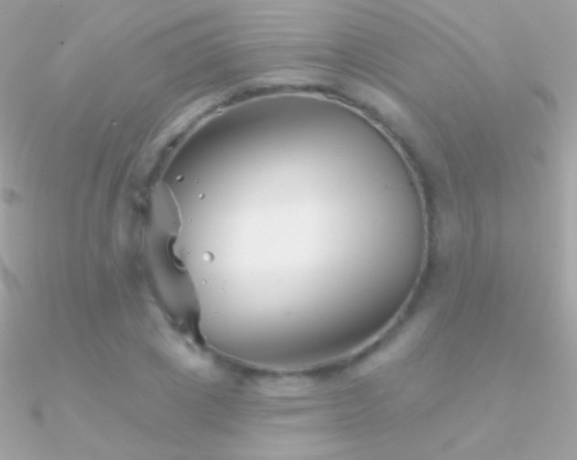 X0000090950833200708021335