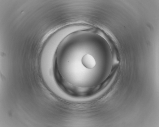 X0000090950834200708021335