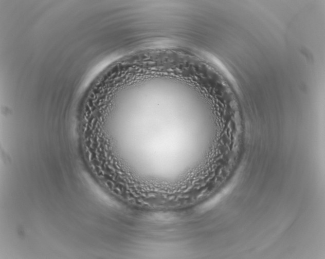 X0000090950835200708021335