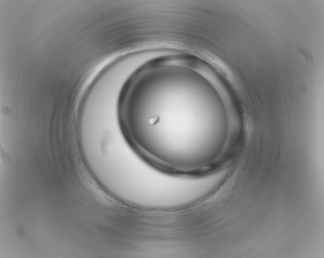 X0000090950836200708021335