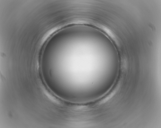 X0000090950837200708021335