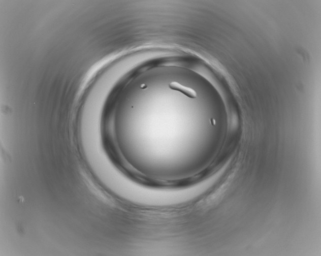 X0000090950838200708021335