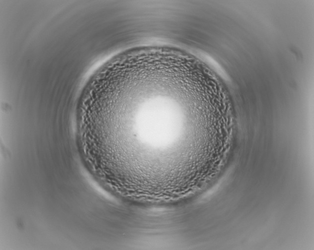 X0000090950839200708021335
