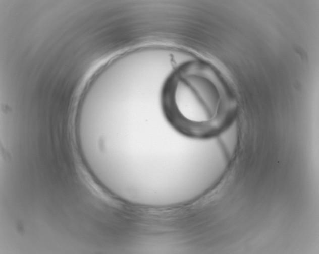 X0000090950840200708021335