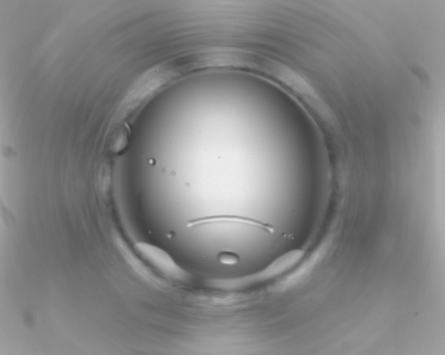 X0000090950841200708021335