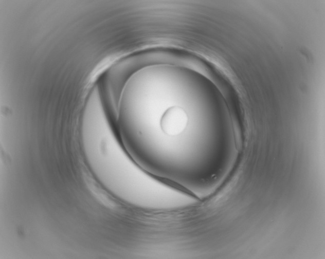 X0000090950842200708021335