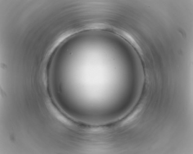 X0000090950843200708021335