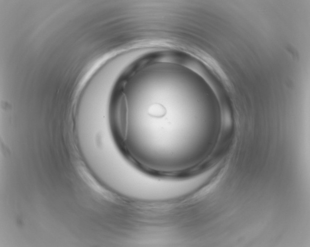 X0000090950844200708021335