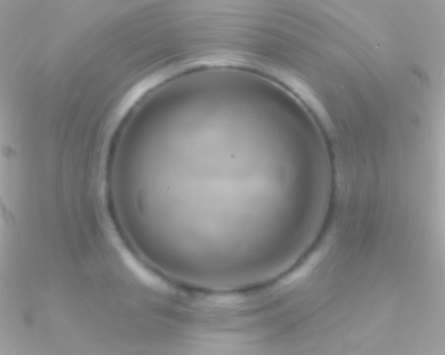 X0000090950845200708021335