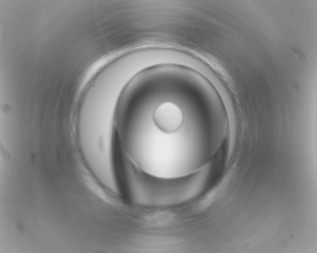 X0000090950846200708021335