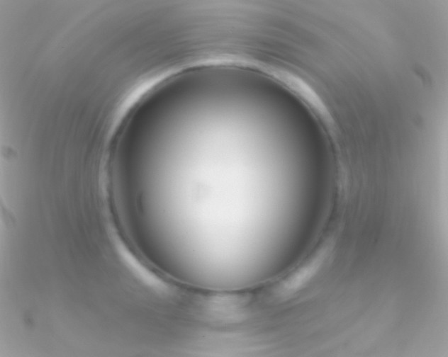 X0000090950847200708021335