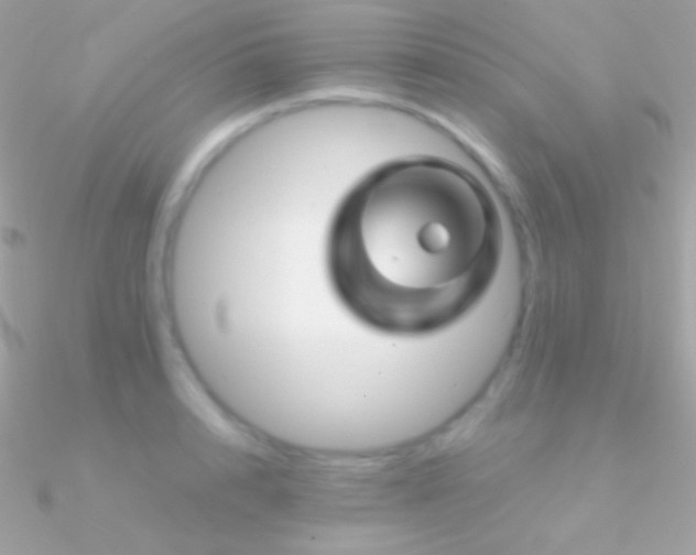 X0000090950848200708021335