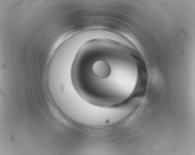 X0000090950850200708021335